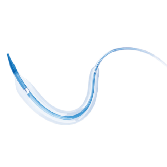 Catéter Balón de Dilatación Coronaria Tadpole - Oller Equipamiento Médico